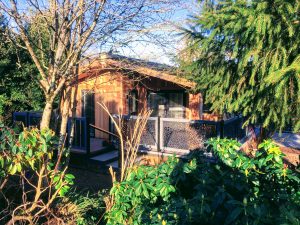 Palstone Lodges Devon - Plot 15